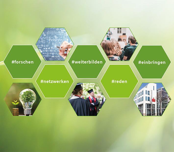 Schematische Abbildung von Arbeitsbereichen der Forschungsstelle